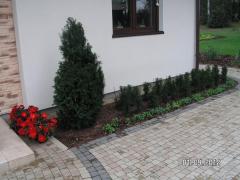 KONICA MINOLTA DIGITAL CAMERA