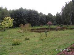 KONICA MINOLTA DIGITAL CAMERA