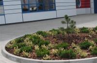 Opatówek-Gaz serwis