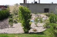 Piekarnia Jal - Kalisz