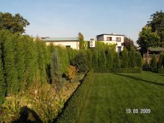 KONICA MINOLTA DIGITAL CAMERA