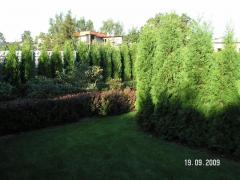 KONICA MINOLTA DIGITAL CAMERA