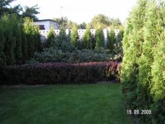 KONICA MINOLTA DIGITAL CAMERA