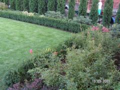 KONICA MINOLTA DIGITAL CAMERA