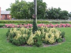 KONICA MINOLTA DIGITAL CAMERA