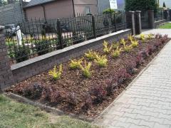 KONICA MINOLTA DIGITAL CAMERA