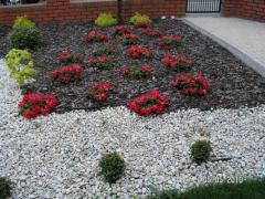 KONICA MINOLTA DIGITAL CAMERA