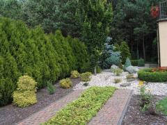 KONICA MINOLTA DIGITAL CAMERA