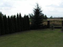 KONICA MINOLTA DIGITAL CAMERA