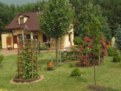 KONICA MINOLTA DIGITAL CAMERA