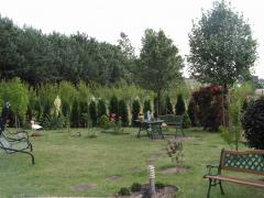 KONICA MINOLTA DIGITAL CAMERA