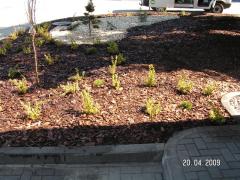 KONICA MINOLTA DIGITAL CAMERA