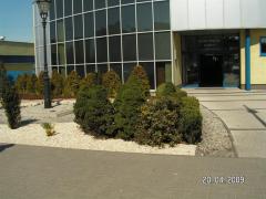 KONICA MINOLTA DIGITAL CAMERA