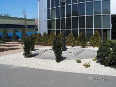 KONICA MINOLTA DIGITAL CAMERA