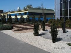 KONICA MINOLTA DIGITAL CAMERA