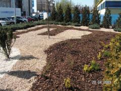 KONICA MINOLTA DIGITAL CAMERA