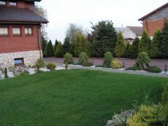 KONICA MINOLTA DIGITAL CAMERA