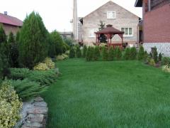 KONICA MINOLTA DIGITAL CAMERA