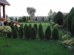 KONICA MINOLTA DIGITAL CAMERA