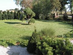 KONICA MINOLTA DIGITAL CAMERA