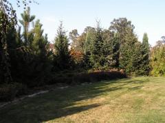 KONICA MINOLTA DIGITAL CAMERA