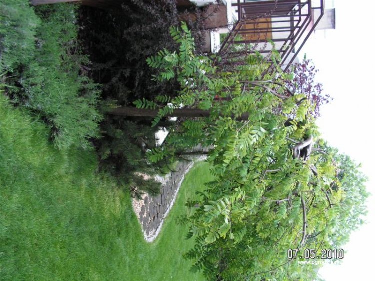 KONICA MINOLTA DIGITAL CAMERA