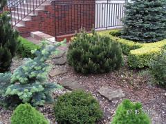 KONICA MINOLTA DIGITAL CAMERA