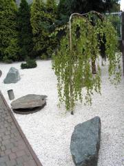 KONICA MINOLTA DIGITAL CAMERA