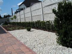 KONICA MINOLTA DIGITAL CAMERA