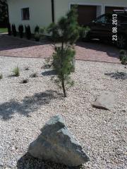 KONICA MINOLTA DIGITAL CAMERA