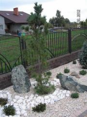 KONICA MINOLTA DIGITAL CAMERA