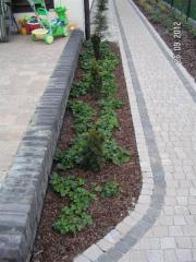 KONICA MINOLTA DIGITAL CAMERA