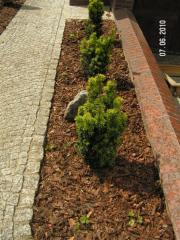 KONICA MINOLTA DIGITAL CAMERA