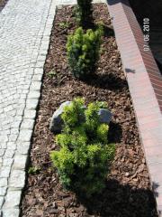 KONICA MINOLTA DIGITAL CAMERA