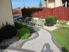 IMG_8546 (Medium) (2)