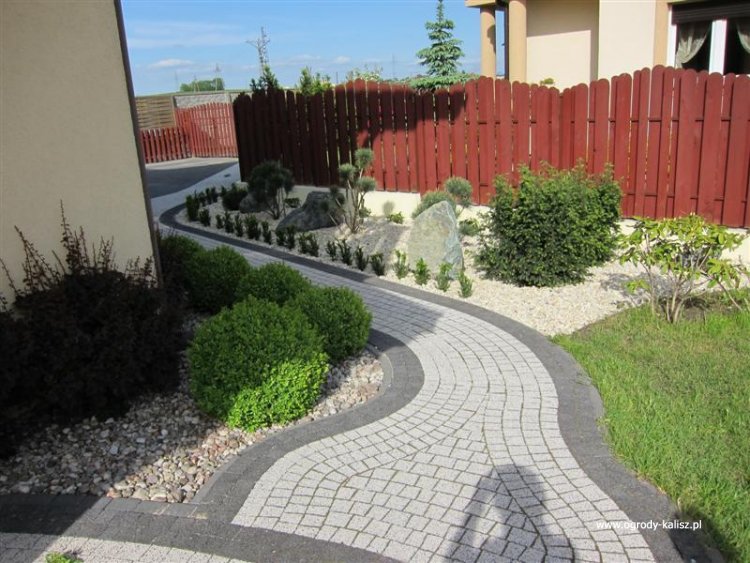 IMG_8546 (Medium) (2)