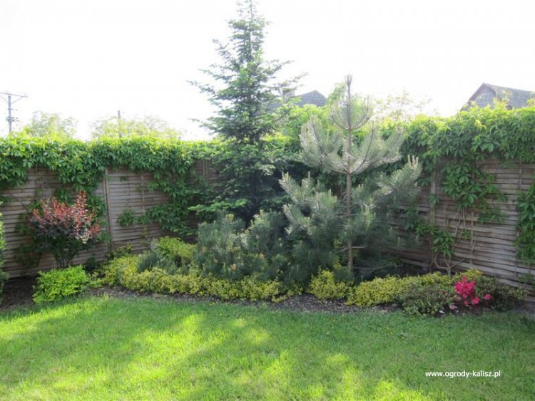 IMG_8549 (Medium) (Medium)