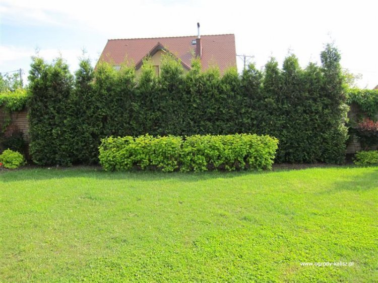 IMG_8550 (Medium) (Medium)