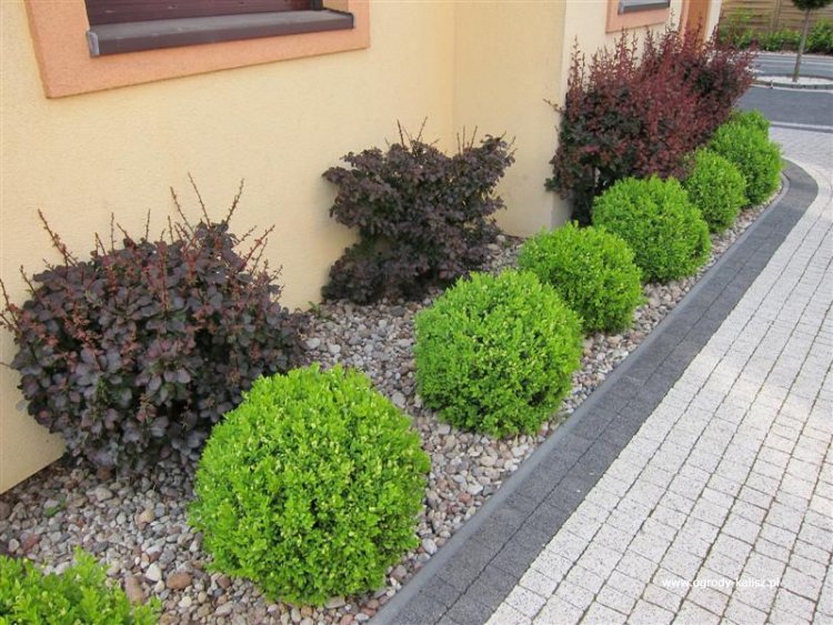 IMG_8553 (Medium) (Medium)