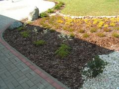 KONICA MINOLTA DIGITAL CAMERA