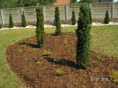 KONICA MINOLTA DIGITAL CAMERA