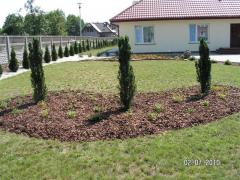 KONICA MINOLTA DIGITAL CAMERA