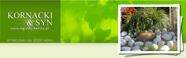 Projektowanie Ogrodów Kalisz